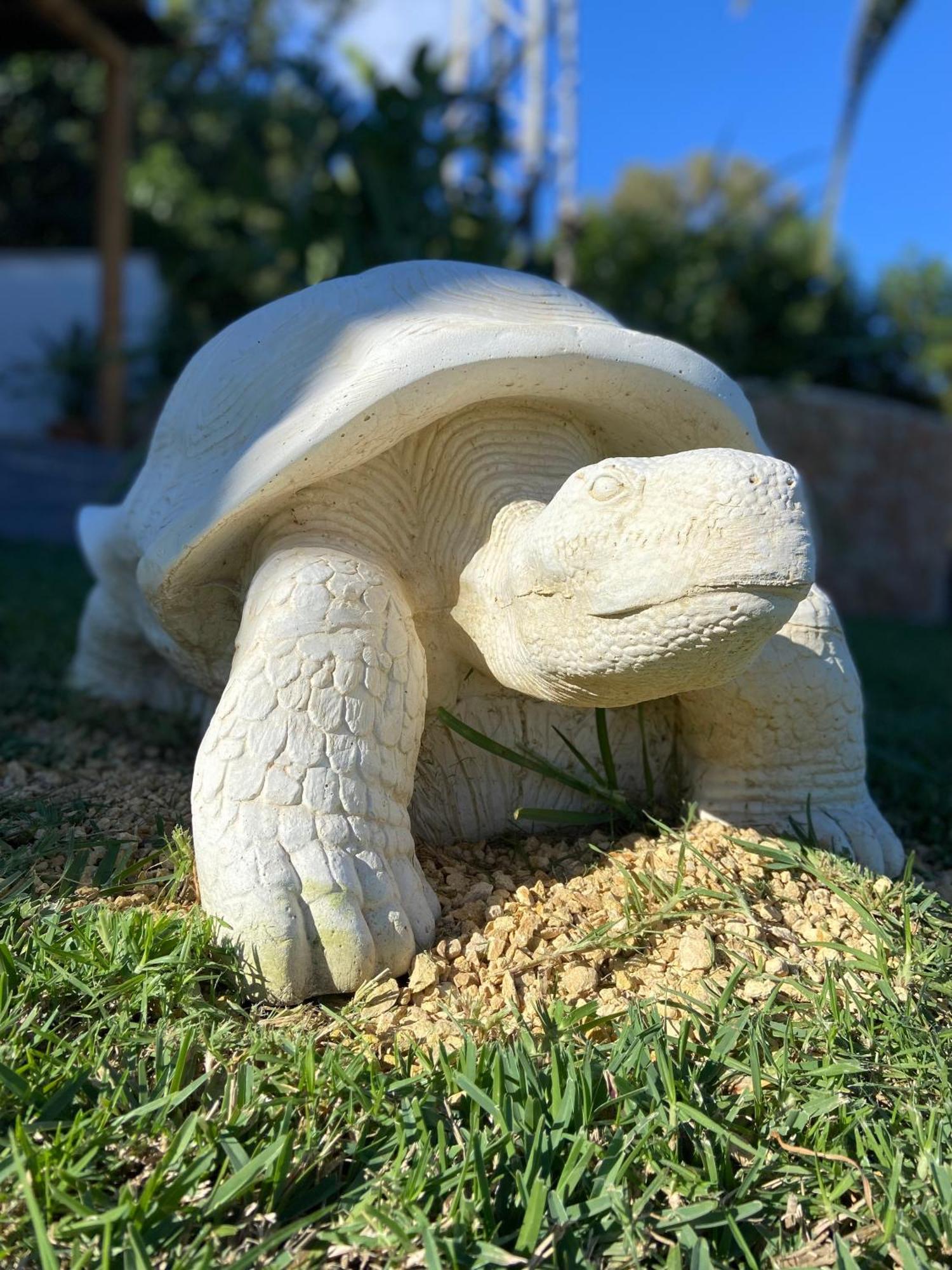 Casa Avellana Villa Dénia Buitenkant foto